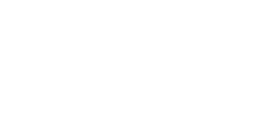 بینک آف پنجاب Logo